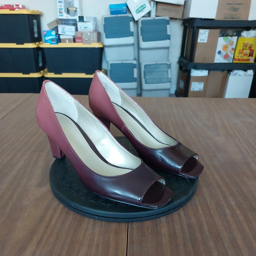 Liz Claiborne Rave Pump High Heel Purple Fades To Light Purple  Size 9M